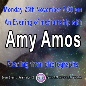 An Evening with Amy Amos